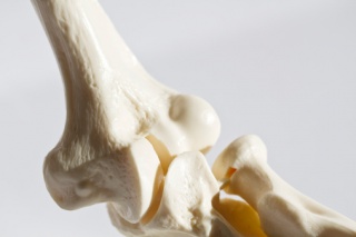 fájdalom a lapockák felett a gerincben hogyan kell kezelni a láb arthrosisát