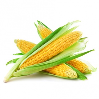 kukorica a cukorbetegség kezelésében)