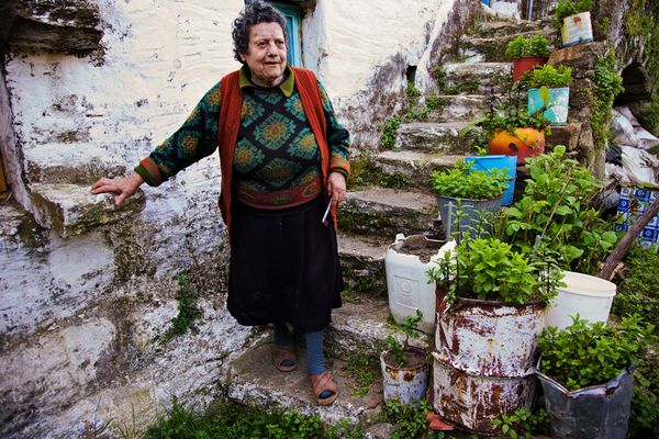Idős asszony a gyógynövényei mellett (Fotó: Gianluca Colla, National Geographic)