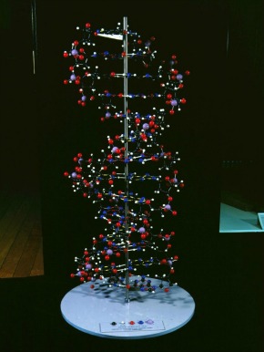 Illusztráció - A DNS-molekula modellje (Fotó: AFP/Hirado.hu)