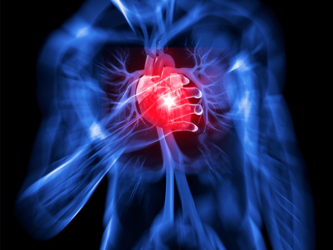 a szív egészségének hemodinamikája)