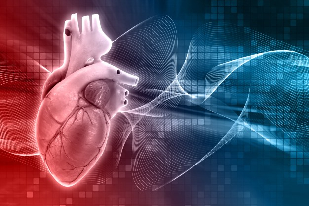 nyitott egészségügyi eszközök i szív publix