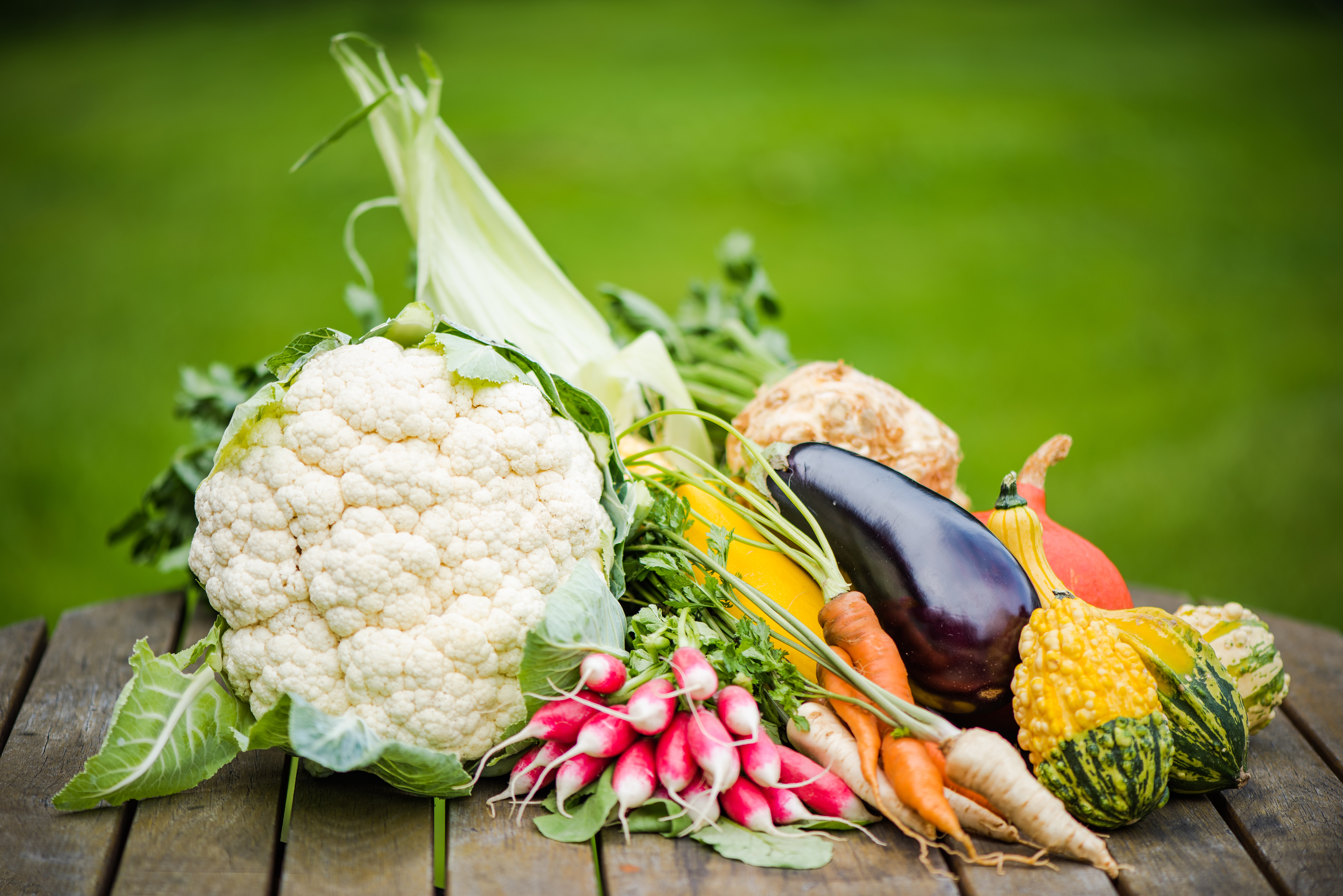 A magas rosstartalmú, nyers zöldségekben és telítetlen zsírsavakban gazdag étrend növeli a hasznos bélbaktériumok arányát. (Fotó: Envato Elements)